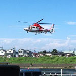 ���l�s�����h�ЌP��